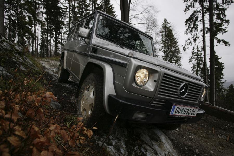  Mercedes-Benz G-Class 1990 года  (фото 186 из 260)